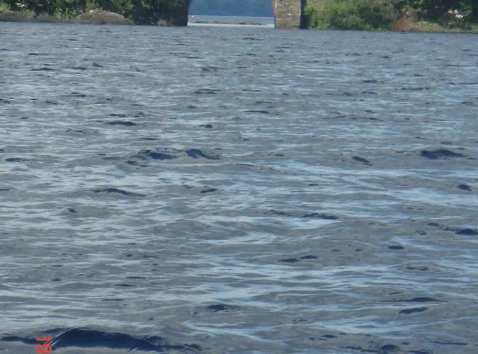 Fiddlers Rest Bed & Breakfast